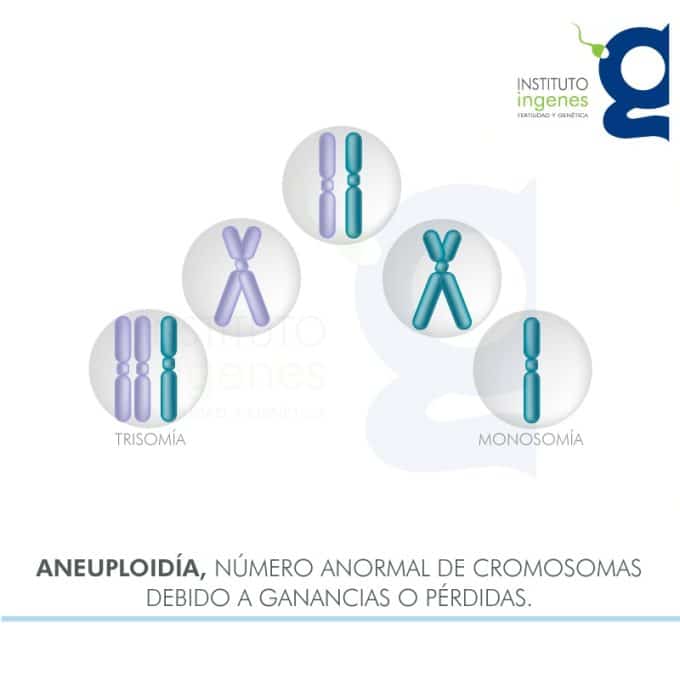 aneuploidia-que-es-como-prevenir-cromosomas-trisomia-monosomia