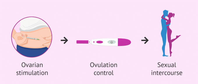 polycystic-ovary-syndrome-according-to-the-age-of-the-woman-procedure-to-perform-scheduled-intercourse